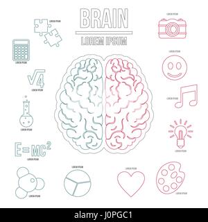 Cerveau humain des infographies, style contour Illustration de Vecteur