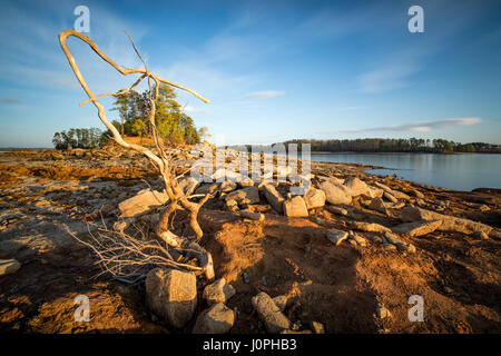 Van pugh park est l'un des plus grands parcs sur le lac Lanier. Il y a une zone nord et sud avec camping, terrains, rampes de mise à l'eau, ainsi qu'une grande plage. Coney Island devient une péninsule dans l'eau faible fois, et peut être à pied sur des distances considérables. Banque D'Images