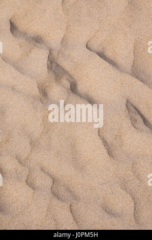 Résumé un close-up de la texture ondulée et des modèles dans le sable de la plage. Banque D'Images