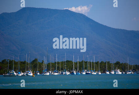 Une ligne de yachts amarrés dans Trinity inlet, Cairns, Queensland, Australie Banque D'Images