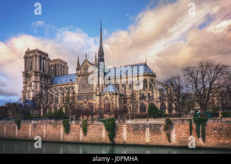 Cathédrale Notre-Dame de Paris sur l'Île de la Cité. La France. Paris Banque D'Images