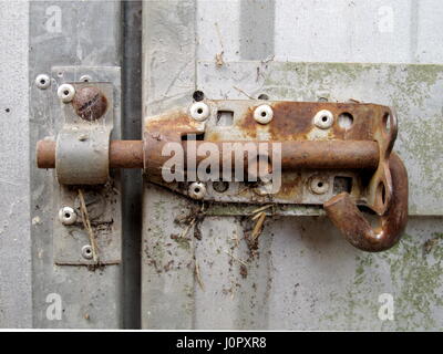 Close up of rusty ancienne porte coulissante serrure sur tin shed Banque D'Images