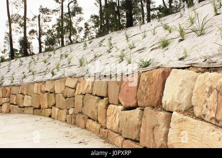 Mur de soutènement en grès avec des plantes indigènes et la prévention de l'érosion cloth Banque D'Images