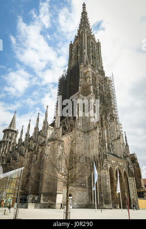 Cathédrale d'Ulm est la plus grande église dans le monde (161,5 mètres), Allemagne. Banque D'Images