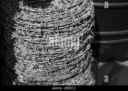 Rouleau de fil de fer barbelé sur fond noir. Barrière de danger pour la sécurité et la protection Banque D'Images