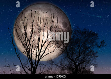 Les corneilles perchées sur le haut de branches d'arbre sont en attente de prendre la fuite pendant la nuit avec une grosse Lune et un ciel étoilé avec une comète. Éléments de cette Banque D'Images
