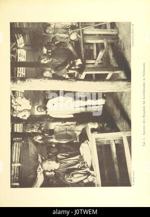 *Unter den Papua's* est une étude détaillée des habitants, de la flore et de la faune de Kaiser-Wilhelmsland, avec 46 illustrations pleine page. Le travail offre un aperçu de la terre, de la faune et de la culture indigène de la région. Banque D'Images