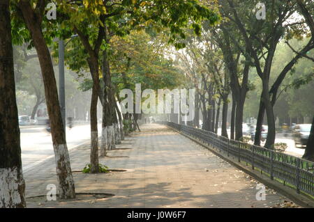 Paisible et coloré chemin bordé d'arbres dans l'évolution de la période de la saison à Hanoi, Vietnam, Asie Banque D'Images