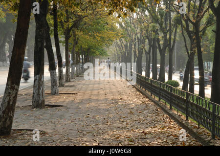 Paisible et coloré chemin bordé d'arbres dans l'évolution de la période de la saison à Hanoi, Vietnam, Asie Banque D'Images