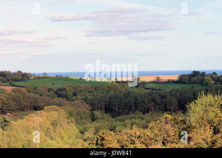 Devon country side Banque D'Images