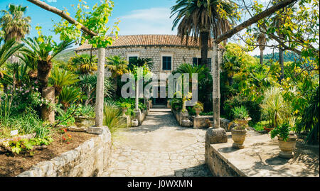 Trsteno Arboretum en forêt, près de Dubrovnik en Croatie Banque D'Images