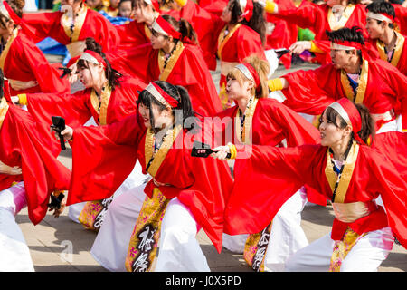 Festival Danse Yosakoi Hinokuni à Kumamoto. La formation de l'équipe de danse de yukata rouge vestes avec pantalon blanc, holding naruko, claquettes. Vue de côté. Banque D'Images