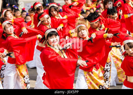 Festival Danse Yosakoi Hinokuni à Kumamoto. La formation de l'équipe de danse de yukata rouge vestes avec pantalon blanc, holding naruko, claquettes. Vue de côté. Banque D'Images