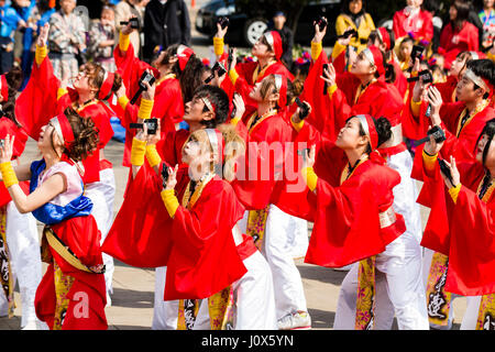 Festival Danse Yosakoi Hinokuni à Kumamoto. La formation de l'équipe de danse de yukata rouge vestes avec pantalon blanc, holding naruko, claquettes. Vue de côté. Banque D'Images