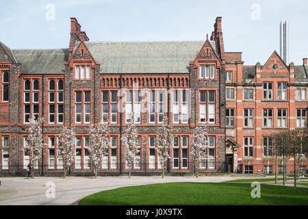 L'Université de Liverpool,Harrison Hughes,des,faculté,Liverpool, Merseyside, Angleterre,UNESCO,Ville du patrimoine mondial,Ville,Nord,Nord,Angleterre,English,UK. Banque D'Images