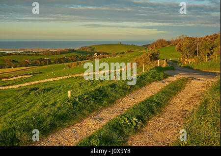 Un matin tôt sur le paysage du Dorset vers Chapelle Sainte Catherine et le petit village d'Abbotsbury. Banque D'Images