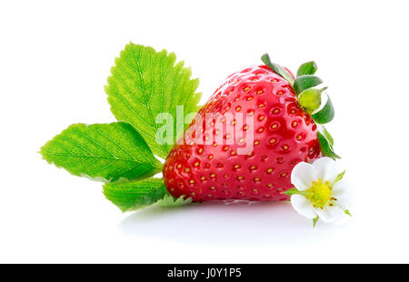 Feuille verte avec des fraises et des fleurs isolé sur fond blanc Banque D'Images