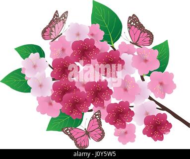 Vector illustration de la direction générale des cerisiers en fleurs à papillons Illustration de Vecteur