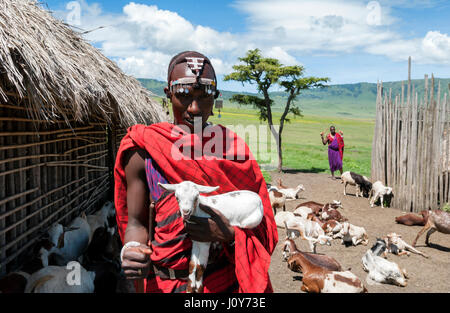 Ngorongoro Maasai Warrior debout à l'extérieur de sa cabane ou Inkajijik dans son Shuka rouge et le Goat blanc avec un autre troupeau de chèvre en arrière-plan. Banque D'Images