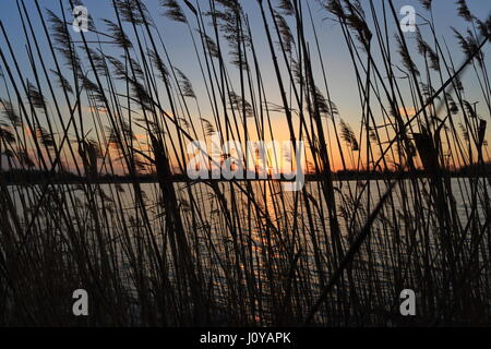 Coucher du soleil sur le lac en Pologne Banque D'Images