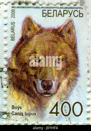 GOMEL, BÉLARUS, le 15 avril 2017. Timbres en Bélarus montre libre du loup gris ou loup gris (Canis lupus), également connu sous le nom de loup ou nous Banque D'Images