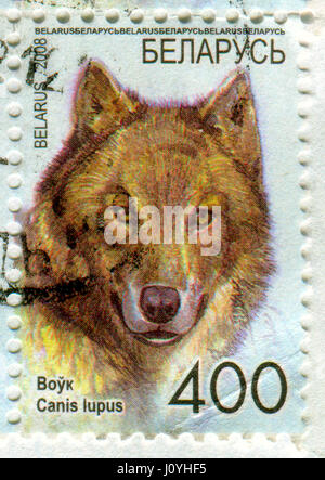 GOMEL, BÉLARUS, le 15 avril 2017. Timbres en Bélarus montre libre du loup gris ou loup gris (Canis lupus), également connu sous le nom de loup ou nous Banque D'Images