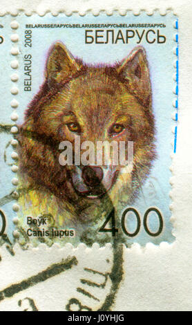 GOMEL, BÉLARUS, le 15 avril 2017. Timbres en Bélarus montre libre du loup gris ou loup gris (Canis lupus), également connu sous le nom de loup ou nous Banque D'Images