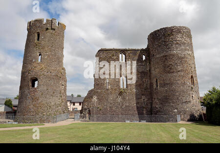 Château de Ferns dans Ferns, Comté de Wexford, Irlande (Eire). Banque D'Images