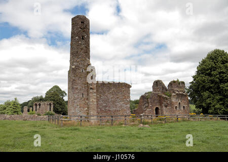 Prog Mary’s Augustinian Abbey in Ferns, County Wexford, Ireland (Eire). Banque D'Images