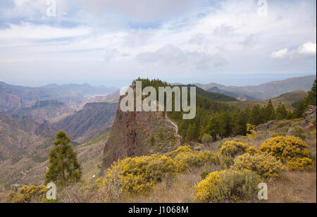 Le centre de Gran Canaria en avril, un chemin de randonnée sur le bord de la falaise Banque D'Images