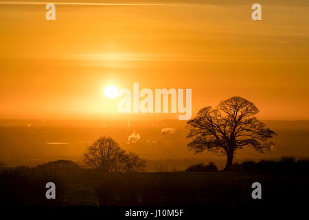 Or un lever de soleil sur les terres agricoles et rurales de Cheshire à Flintshire dans le Nord du Pays de Galles Banque D'Images