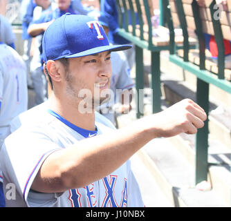 Anaheim, Californie, USA. 13 avr, 2017. Yu Darvish (Rangers) MLB : Yu Darvish des Texas Rangers dans l'étang au cours de la Major League Baseball match contre les Los Angeles Angels of Anaheim au Angel Stadium d'Anaheim à Anaheim, California, United States . Credit : AFLO/Alamy Live News Banque D'Images