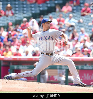 Anaheim, Californie, USA. 13 avr, 2017. Yu Darvish (Rangers) MLB : les Rangers du Texas le lanceur partant Yu Darvish emplacements au cours de la Major League Baseball match contre les Los Angeles Angels of Anaheim au Angel Stadium d'Anaheim à Anaheim, California, United States . Credit : AFLO/Alamy Live News Banque D'Images