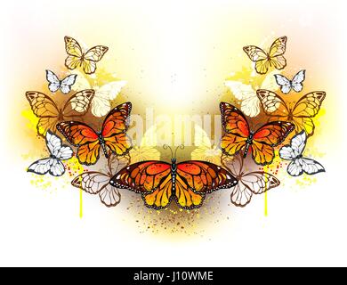Motif symétrique de papillons monarques et points lumineux d'orange aquarelle sur fond blanc. Papillon monarque. Conception avec les papillons. B Illustration de Vecteur