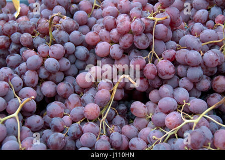 Raisin vigne sur marché hebdomadaire, Alcudia, Mallorca, Majorque, Mallorca, Espagne, Banque D'Images