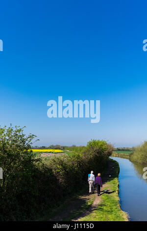 Grand Union Canal autour du sommet du réservoir et de Tring, Hertfordshire, Angleterre, Royaume-Uni Banque D'Images