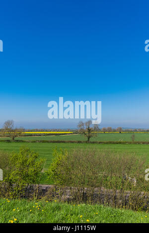 La fin de l'Startop, Tring, Hertfordshire, Angleterre, Royaume-Uni Banque D'Images