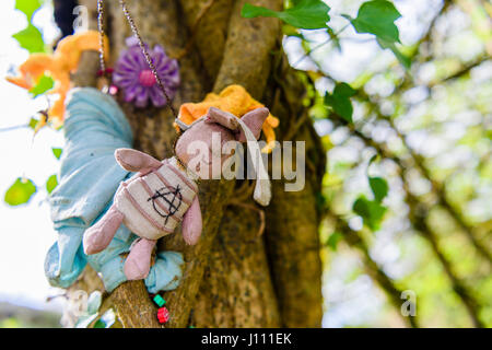 L'enfant des jouets mous, des perles et des couvertures de confort sur un arbre à un puits sacré de culte. Banque D'Images