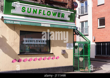 Pub de tournesol à Belfast. Utilisé pour être 'La Taverne Bar' durant les troubles. Il conserve la célèbre porte de la cage de sécurité pour prévenir les fusillades. Banque D'Images