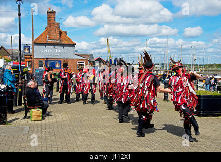 Le cheval foncé morris performing troupe dans Maldon, Essex. England UK Banque D'Images