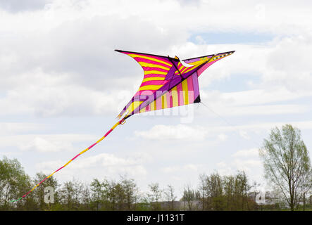 Un cerf-volant vole de couleur dans l'air Banque D'Images