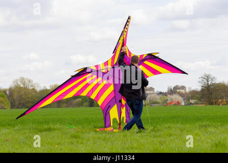 Un homme vole un cerf-volant de couleur Banque D'Images