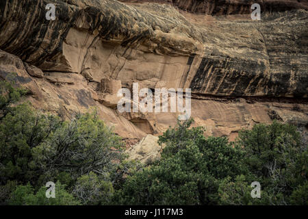 Native American Indian ruine, Salt Creek, aiguilles, District Canyonlands National Park, Utah, USA. Banque D'Images