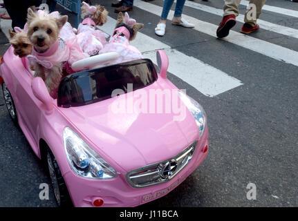 L'abaca USA via Press Association Images Paradegoers célébrer Pâques et fête don de chapeaux à l'Easter Parade et Festival de capot sur la 5e Avenue, le 16 avril 2017 à New York, NY, USA. Photo par Dennis Van Tine/ABACAPRESS.COM Banque D'Images