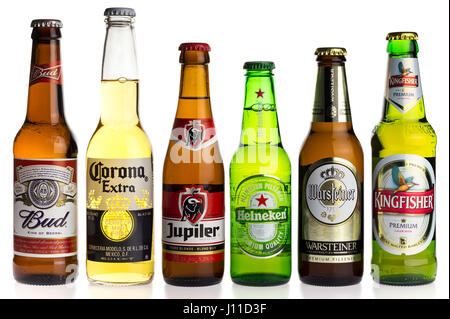 Collection de Budweiser, Corona, Jupiler, Heineken, Warsteiner et Kingfisher lager beers isolé sur fond blanc Banque D'Images