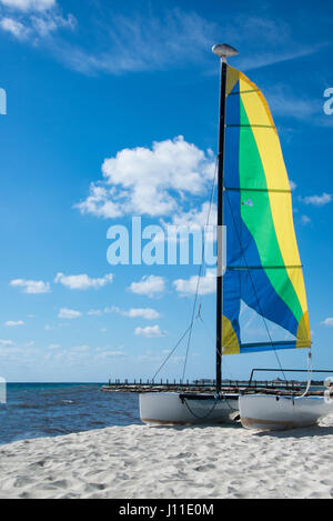 Voile coloré et voilier catamaran est tiré vers le haut et ancrés sur plage de sable en Caraïbes mexicaines sur une journée ensoleillée à la verticale Banque D'Images