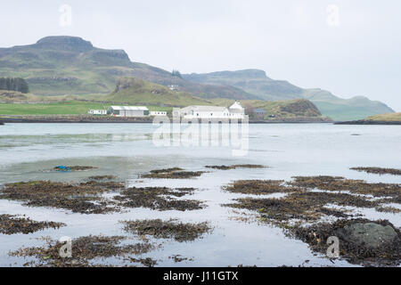 La ferme sur l'île de Canna, les Hébrides intérieures, Ecosse. Banque D'Images