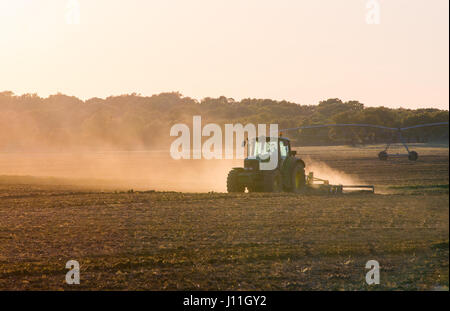 Tracteur à travailler dans une ferme au crépuscule Banque D'Images