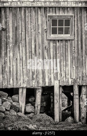 Cabane de pêche La boutique de Peggy's Cove, Nova Scotia, Canada Banque D'Images