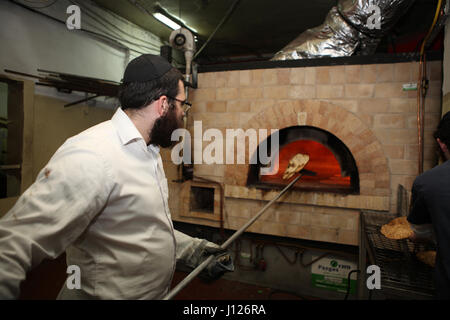 Homme hassidique utilise un long bâton pour tirer la Matza Shmura prêt de sortir du four après t0 secondes sinon il brûle. Avant la Pâque, Kfar, Israël Chbad Banque D'Images